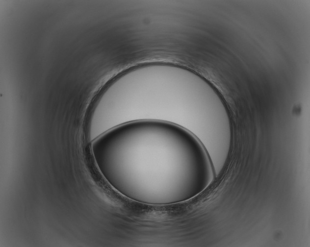 X0000094900252200711291030