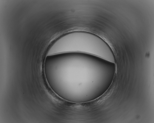 X0000094900253200711291030