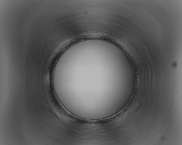 X0000094900254200711291030