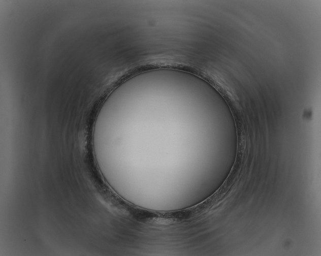 X0000094900255200711291030