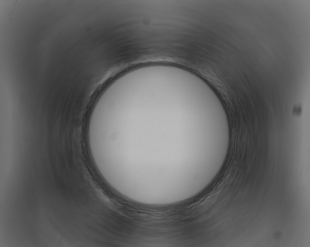 X0000094900256200711291030