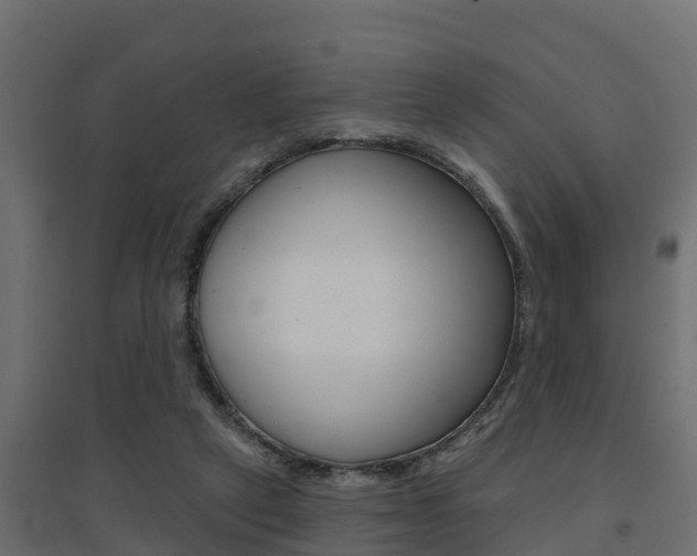 X0000094900257200711291030