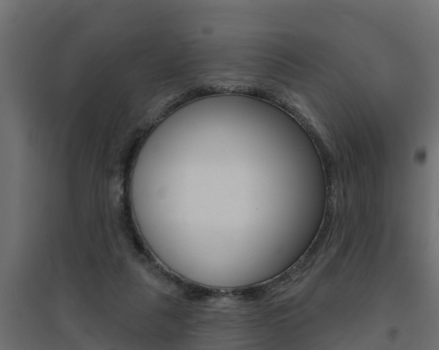 X0000094900259200711291030