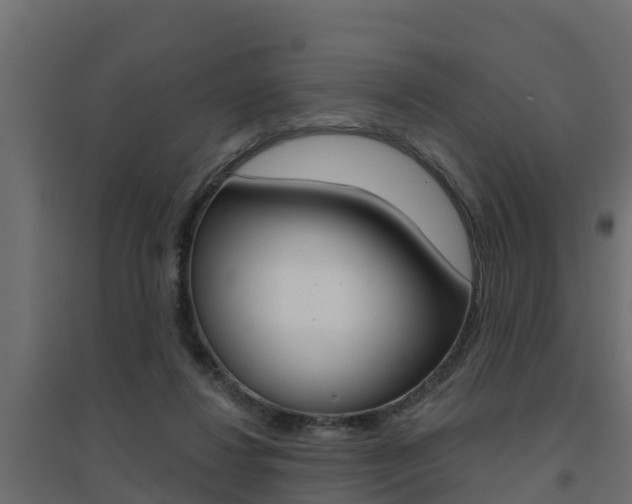 X0000094900260200711291030