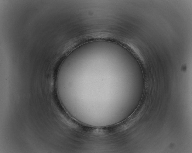 X0000094900261200711291030