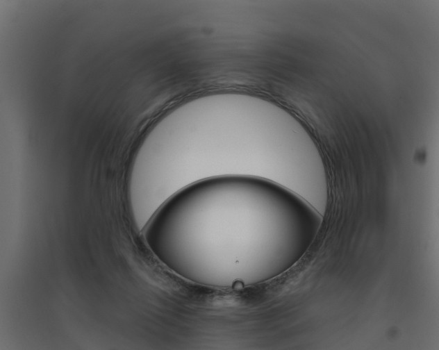 X0000094900262200711291030