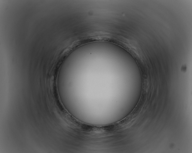 X0000094900263200711291030