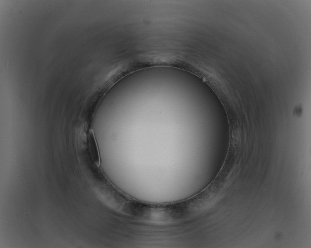 X0000094900264200711291030
