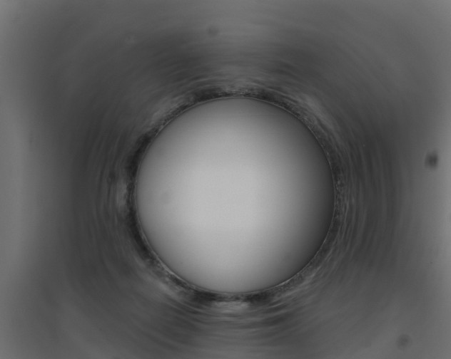 X0000094900266200711291030