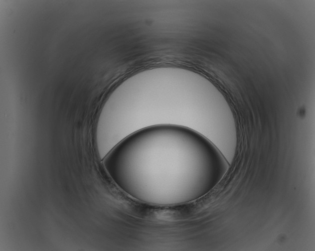 X0000094900268200711291030