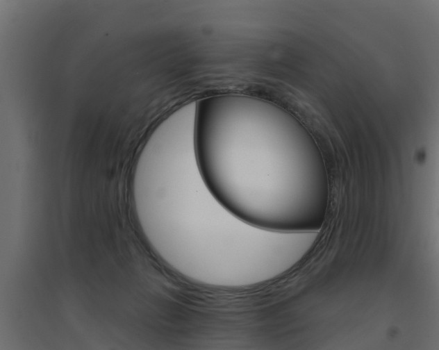 X0000094900270200711291030