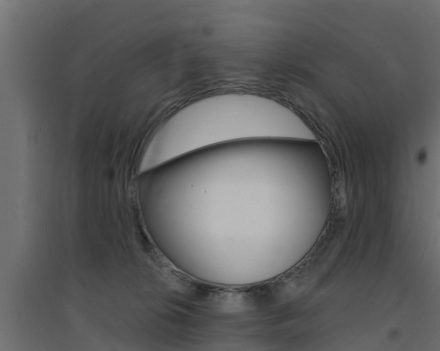 X0000094900276200711291030