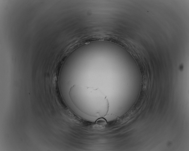X0000094900279200711291030
