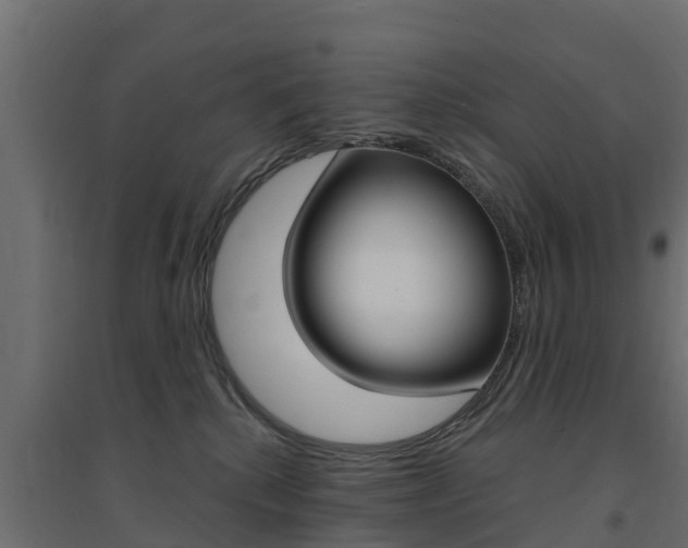X0000094900280200711291030
