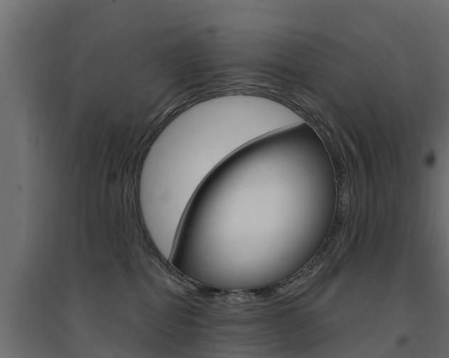 X0000094900282200711291030