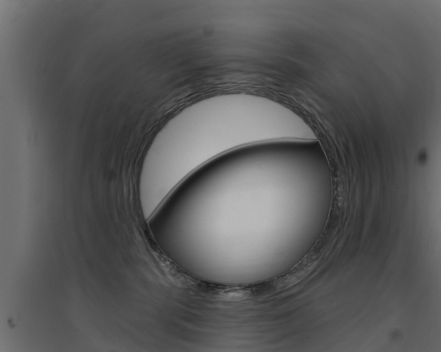 X0000094900283200711291030