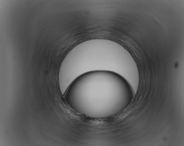 X0000094900284200711291030