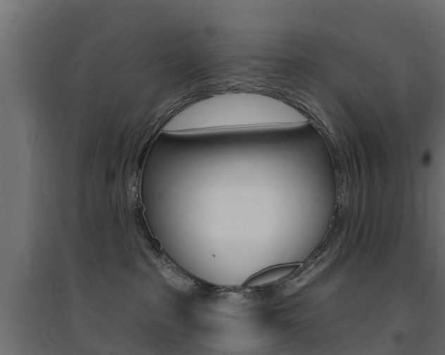 X0000094900285200711291030
