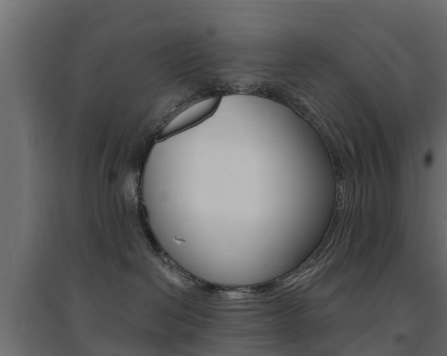 X0000094900286200711291030
