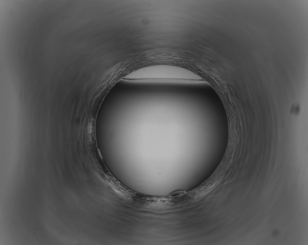 X0000094900288200711291030