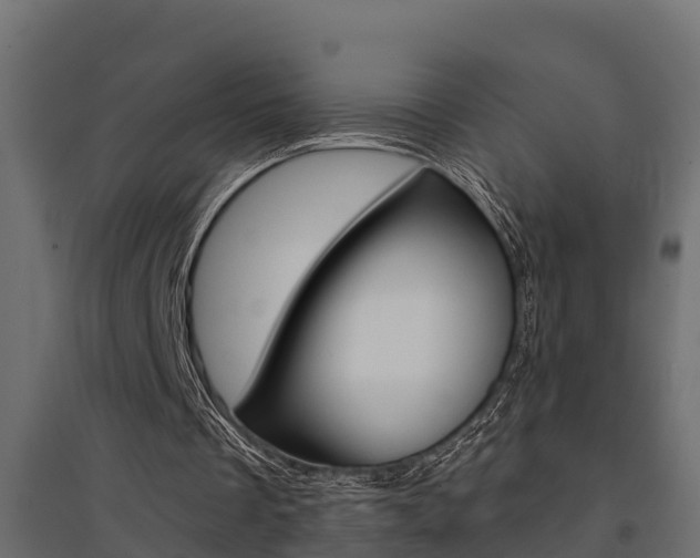 X0000094900289200711291029