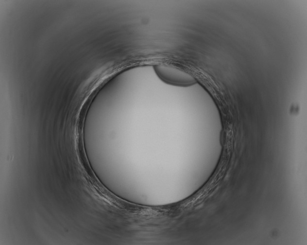 X0000094900290200711291029