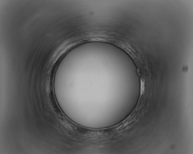 X0000094900291200711291029