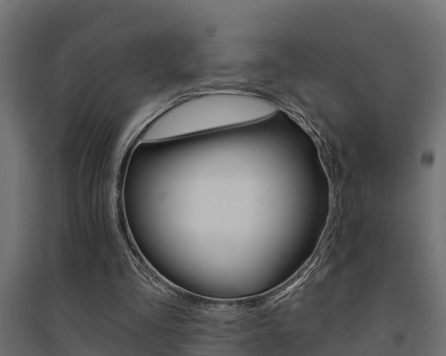 X0000094900293200711291029