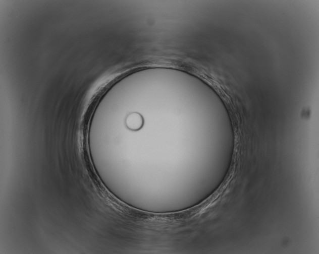 X0000094900294200711291029