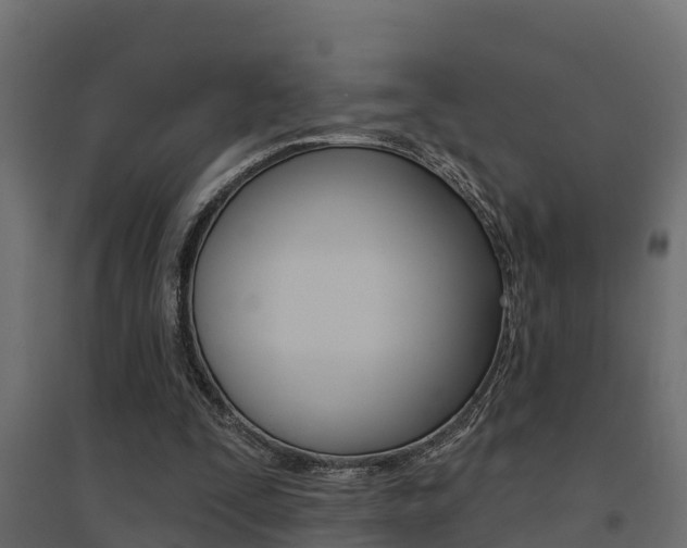 X0000094900295200711291029