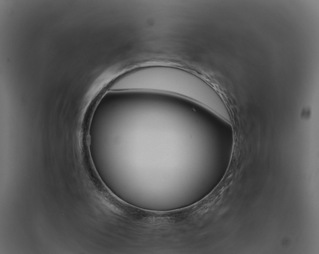 X0000094900296200711291029