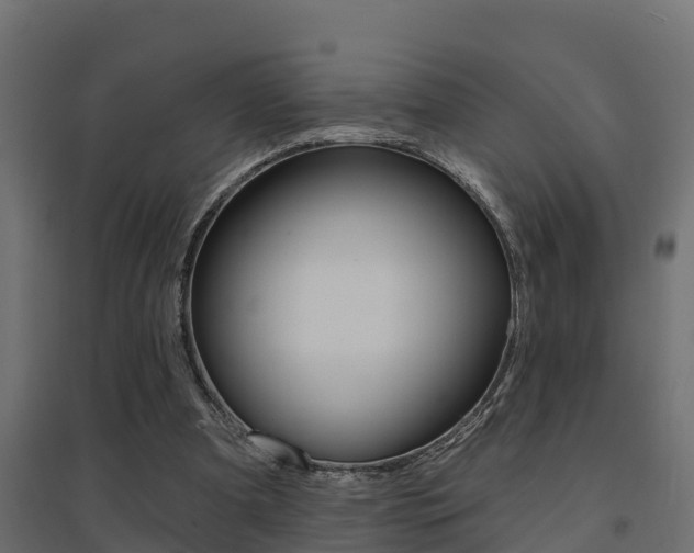 X0000094900297200711291029