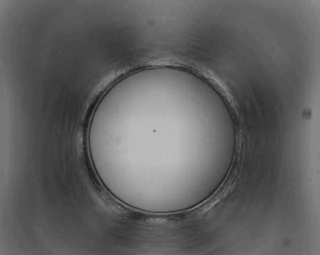 X0000094900298200711291029