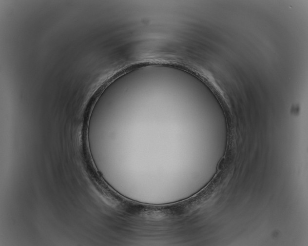 X0000094900299200711291029