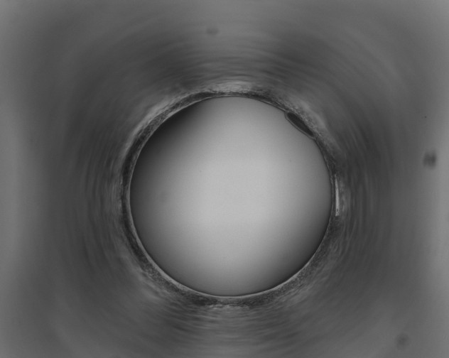 X0000094900300200711291029