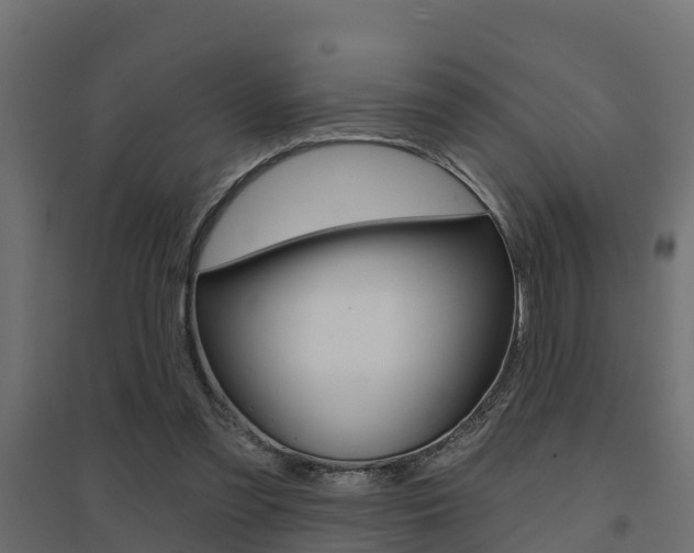 X0000094900301200711291029