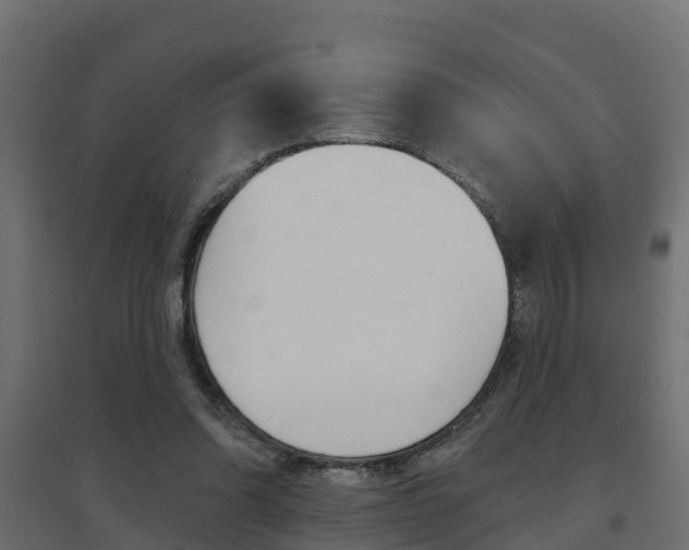 X0000094900302200711291029