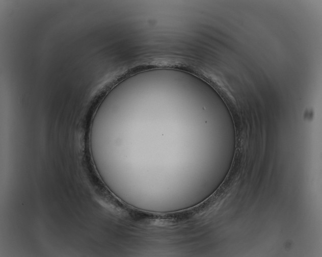 X0000094900303200711291029