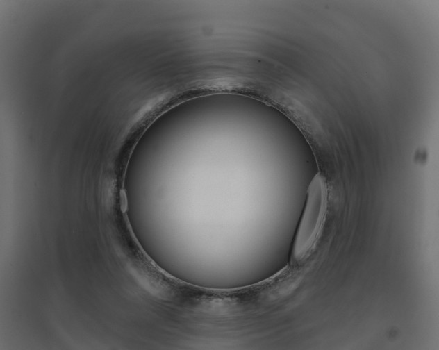 X0000094900304200711291029