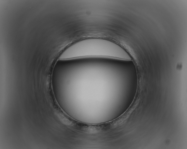X0000094900305200711291029