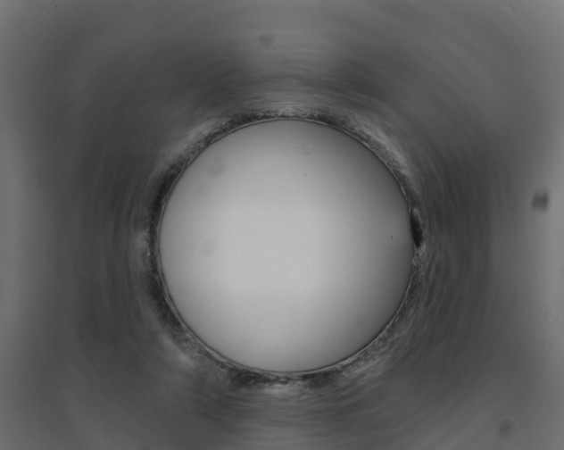 X0000094900306200711291029