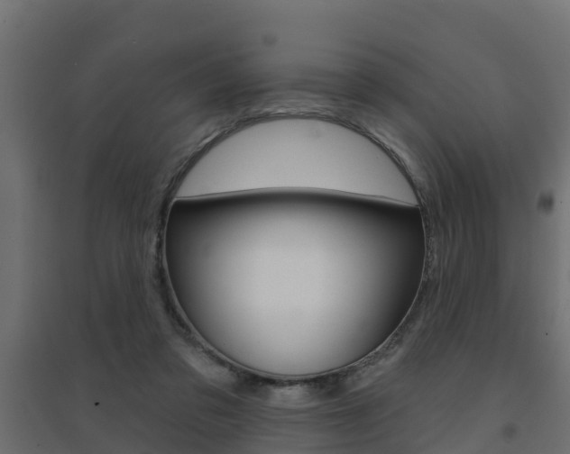 X0000094900309200711291029