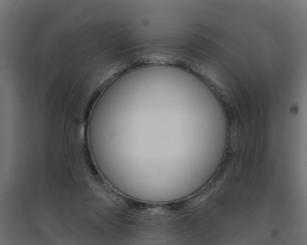 X0000094900310200711291029