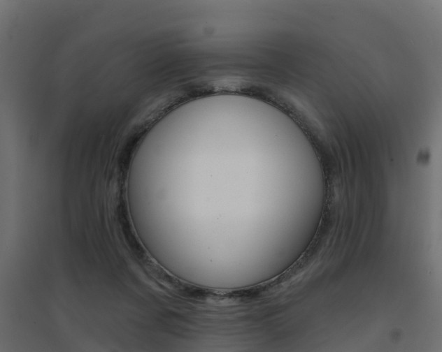 X0000094900311200711291029