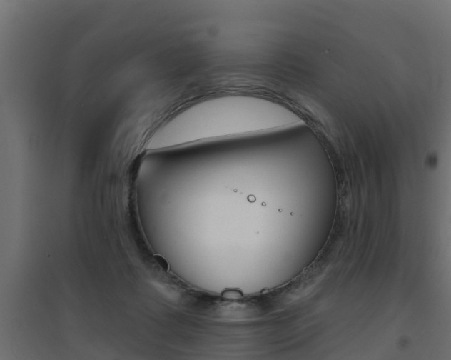 X0000094900315200711291029