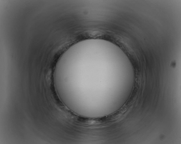 X0000094900319200711291029