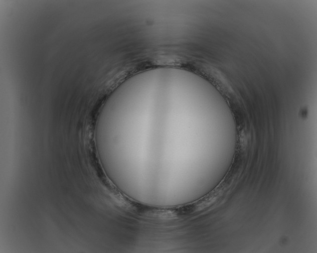 X0000094900322200711291029