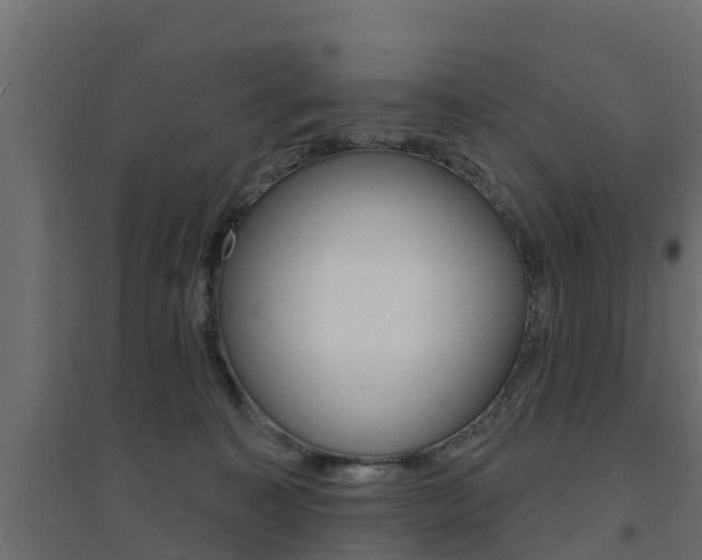 X0000094900323200711291029