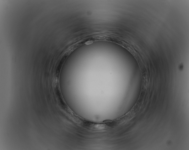 X0000094900324200711291029