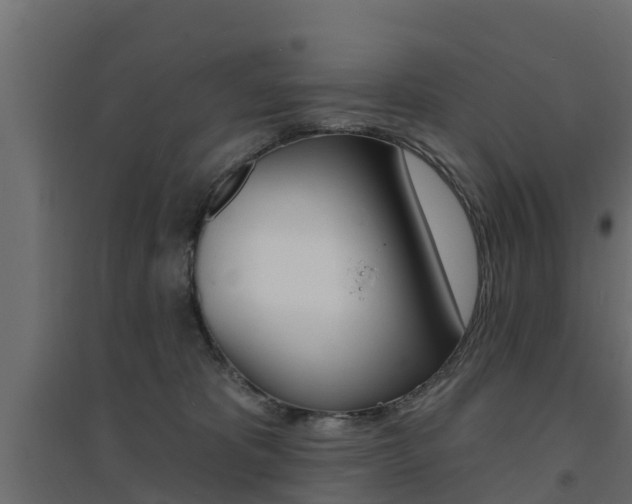 X0000094900325200711291029